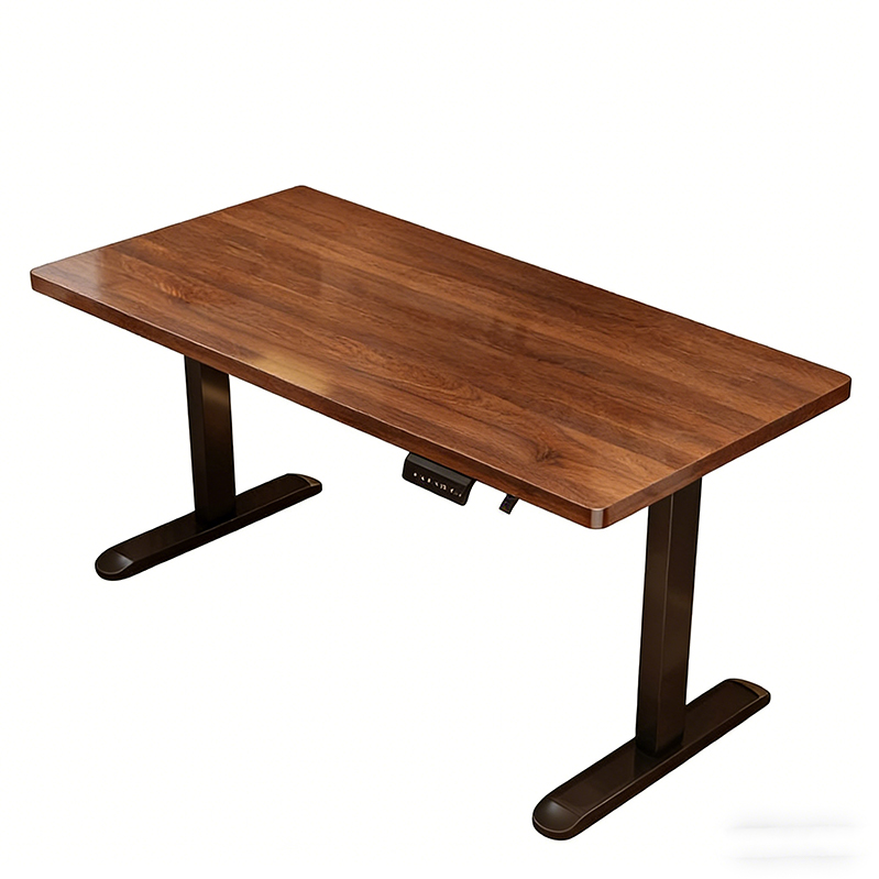 Modern Iron Dual Motor Electri - đánh giá và giá Desk Setup Bedroom