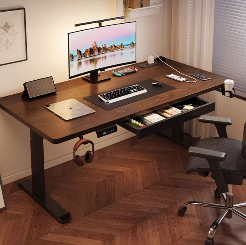 Modern Iron Dual Motor Electri - đánh giá và giá Desk Setup Bedroom